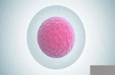 郑州女性排卵障碍能够进行试管婴儿手术吗？成功率高吗？