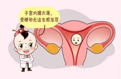 郑州备孕试管婴儿知识_子宫内膜薄怎么调理
